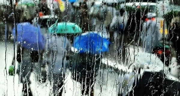 В понедельник днем в Украине дождь