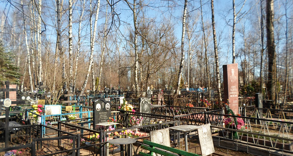 В Бердичеве на кладбище пытались живьем сжечь 19-летнего парня