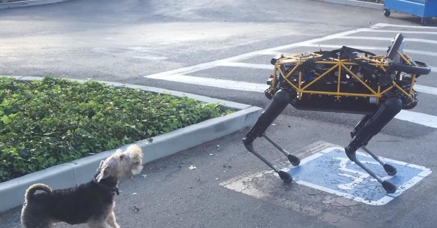 Собака обратила в бегство новейшего робота Boston Dynamics