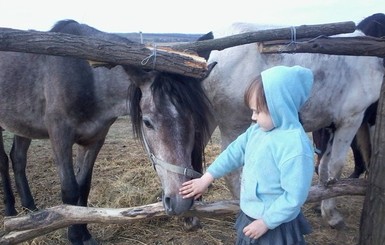 Днепропетровцев приглашают встретить Масленицу с лошадьми