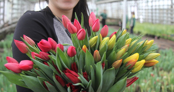 Звездные мужчины – читательницам 