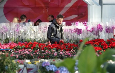 Из каких стран в Украину везли цветы к 8 марта