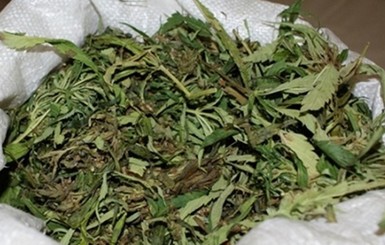 На Днепропетровщине у местного жителя изъяли 100 кг марихуаны