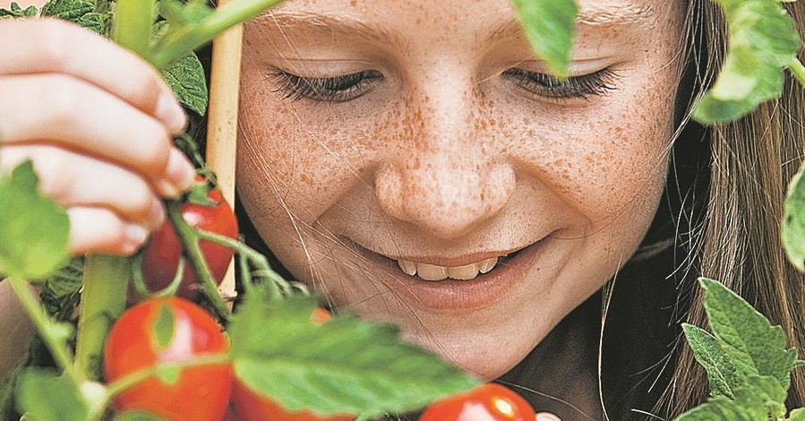 Мифы и правда о помидорной рассаде