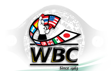 WBC дисквалифицирует профессиональных боксеров, которые поедут на Олимпиаду