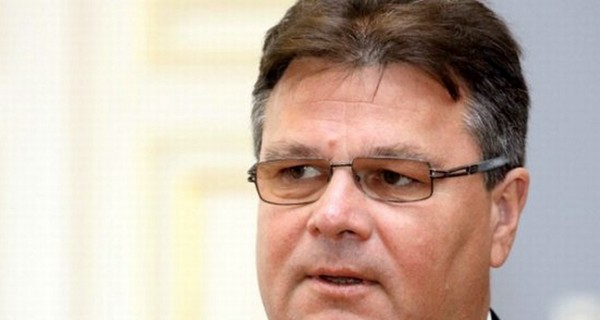 Глава МИД Литвы заявил, что Широкино обстреляли во время его визита 