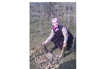 Дагестанская пенсионерка убила около 100 змей на своем огороде