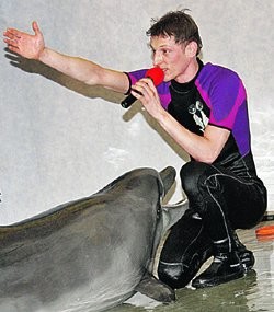 Павел Воля спел дуэтом с дельфином 