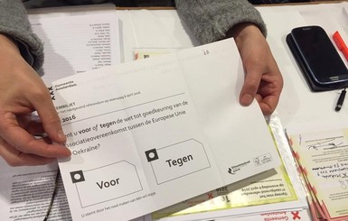 Референдум в Нидерландах: явка превысила 20 процентов