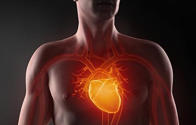 Ученые научились определять умных людей по сердцебиению