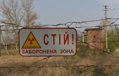 Чем живет Чернобыльская АЭС: саркофаг и дикие волки