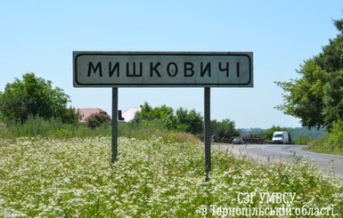 Житель Тернопольской области отсидит семь лет за сожжение родной матери