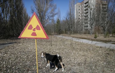 В регионах около Чернобыля болеют раком в 3 раза чаще