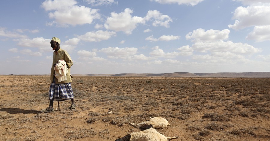 Экологические проблемы Земли: как люди Африки страдают от засухи