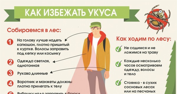 Как защититься от клещей