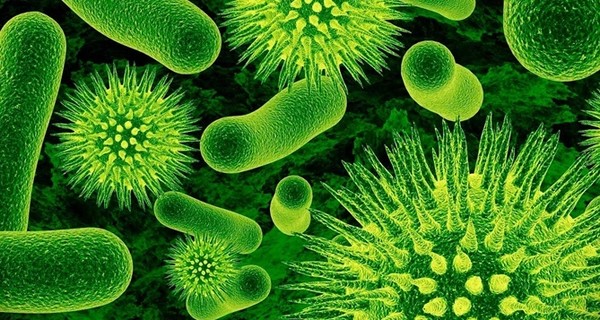 Эксперт: уже через 30 лет людей будут массово убивать супербактерии