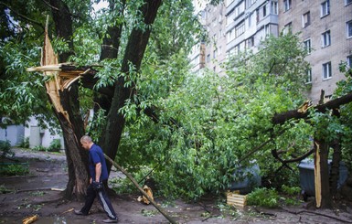 Такого сильного урагана в Харькове не было 55 лет