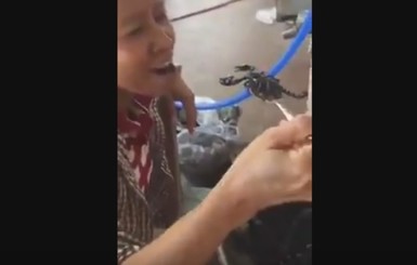 Британский таблоид нашел вьетнамский салат из шевелящихся скорпионов отвратительным