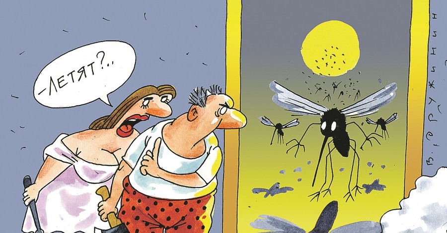 Испытываем популярные народные средства от комаров  