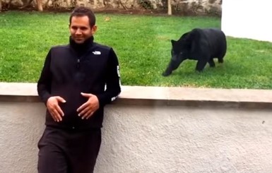Видеохитом дня стало нападение любвеобильной пантеры