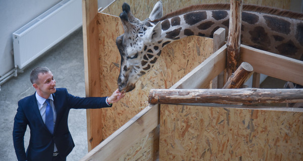 В Одессе открывается новый зоопарк с жирафом и шимпанзе  