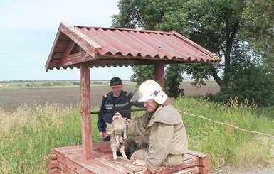 На Днепропетровщине миссия ОБСЕ помогла спасти кота из колодца