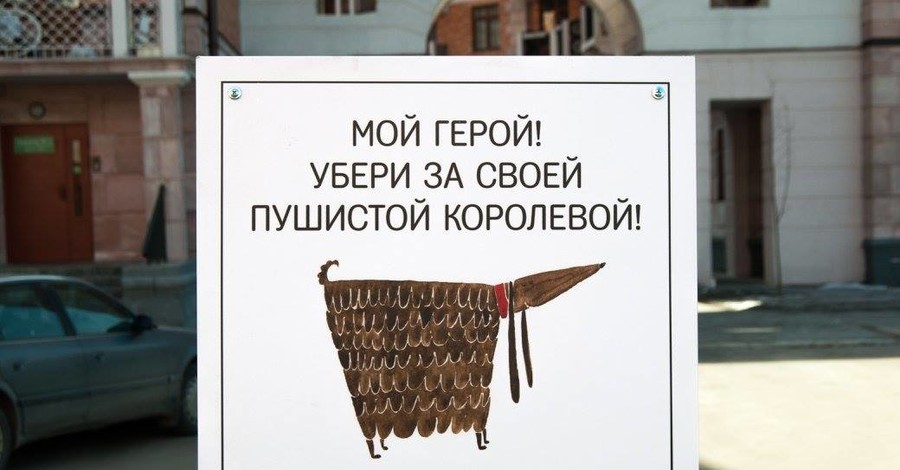 Как домашние питомцы воспитывают своих хозяев: новая соцреклама взорвала интернет