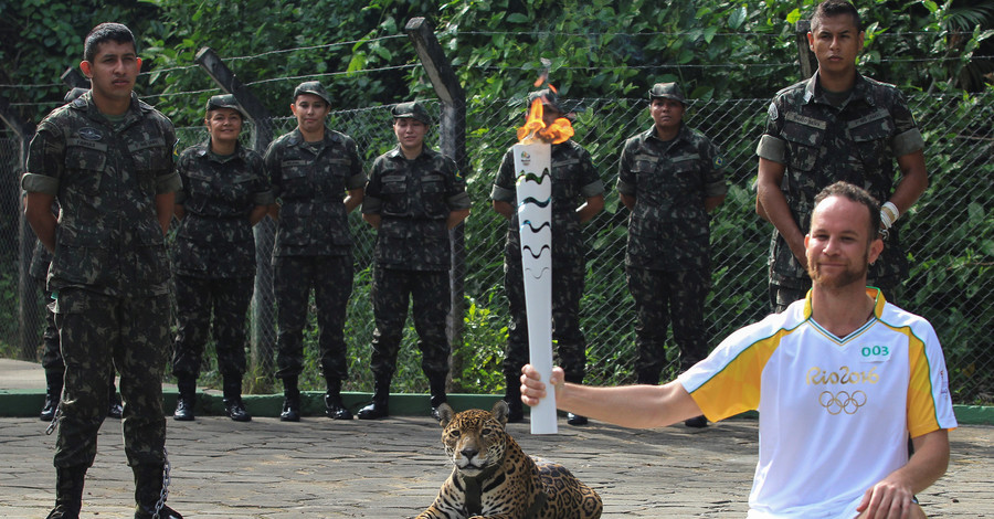 В Бразилии убили ягуара, ставшего символом Олимпийских игр