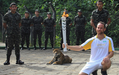 В Бразилии убили ягуара, ставшего символом Олимпийских игр