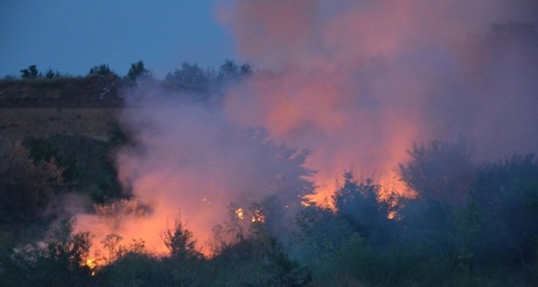 В Николаеве случился масштабный пожар на свалке