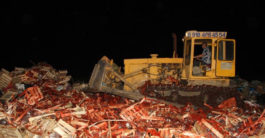 В России раздавили бульдозером 38 тонн клубники из Украины