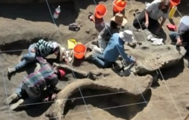 В самом центре мексиканского города откопали мамонта