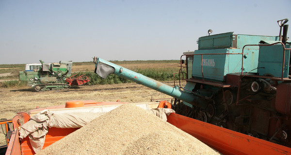 Вырастить и собрать урожай риса без травматизма – посильная задача для жителей Килийского района Одесской области
