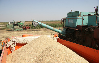 Вырастить и собрать урожай риса без травматизма – посильная задача для жителей Килийского района Одесской области