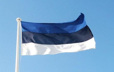 Эстония выдала Украине своего гражданина, воевавшего за 