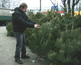 Половина киевлян встретят Новый год с искусственной елкой 