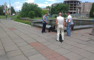 В центре Запорожья в фонтане купался медведь