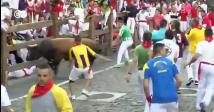 В Испании быки во время забега ранили 15 человек 