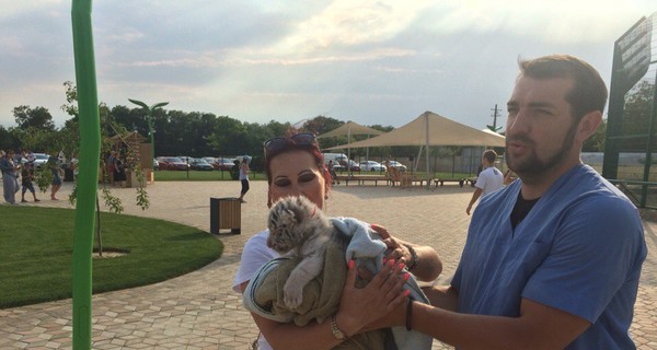 В Одессе ветеринар усыновил бенгальского-тигренка отказника