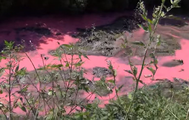 Эко-катастрофа под Киевом: Отравленная химией река в Василькове спасла себя сама