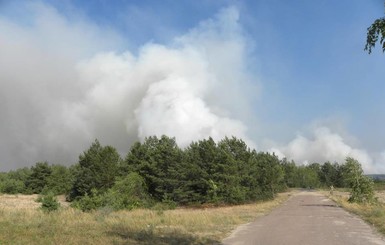 Увеличилась площадь пожара в Чернобыльской зоне