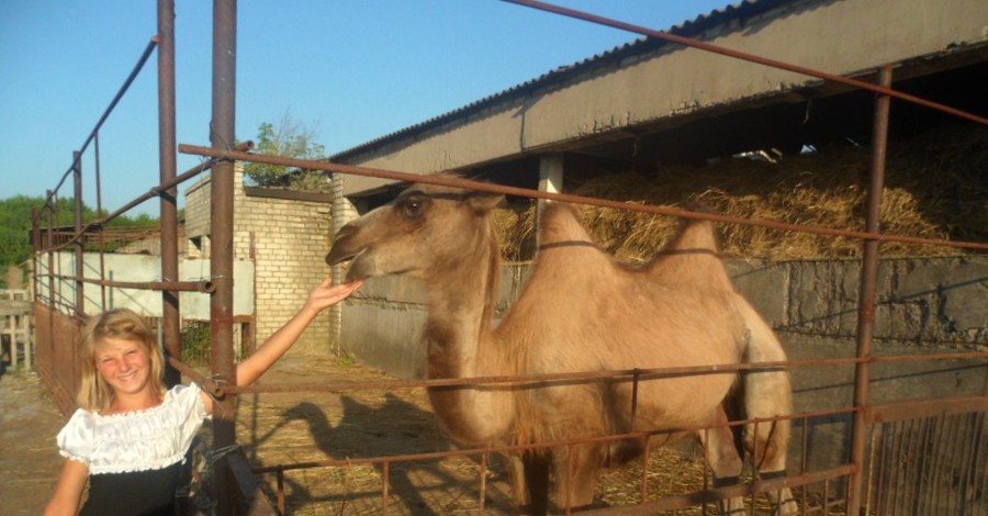 Многодетная семья из зоны АТО приютила у себя верблюдицу