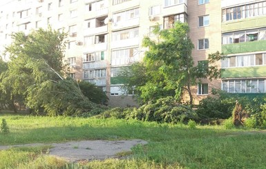 Ураган на Харьковщине: десятки сломанных деревьев и гибель парня от молнии