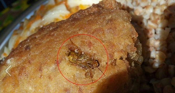 Украинских солдат кормят личинками и тараканами 