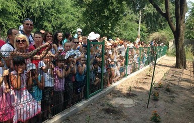 На День тигра в Одессе хищникам разрешили развлекать детей