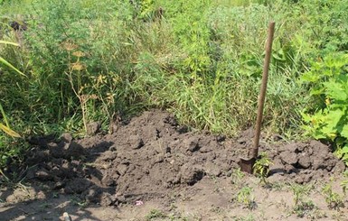 В Славянске друг семьи закопал ребенка в огороде