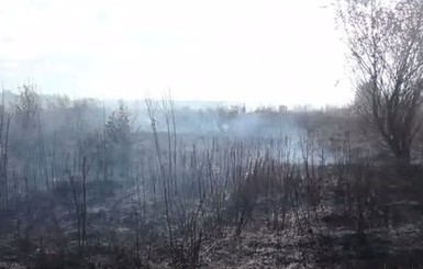 Под Киевом снова загорелись торфяники 