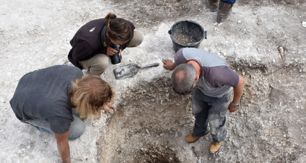 В Англии археологи нашли второй Стоунхендж