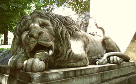 Львы выставлены в музее 