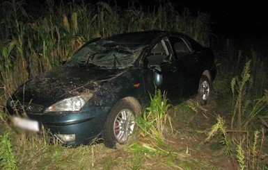 В Черниговской области пьяный водитель сбил трех детей